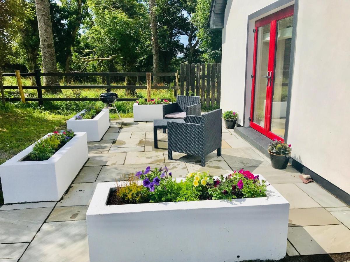 Red Deer Cosy Apartment In Letterfrack Connemara Exterior foto